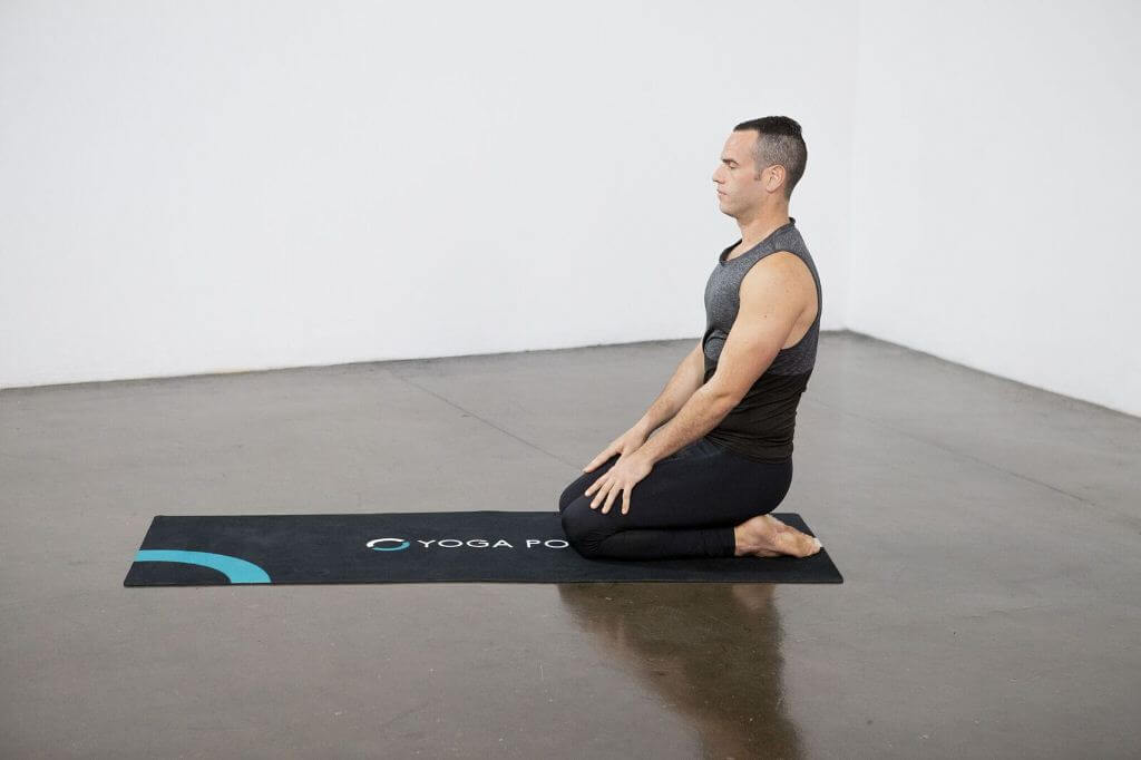 Four Limbed Staff Pose (Chaturanga Dandasana) - Yoga Pose