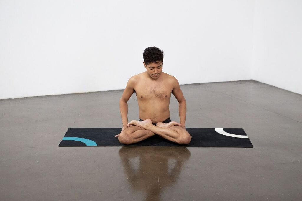 Scales Pose (Tolasana) - Yoga Pose