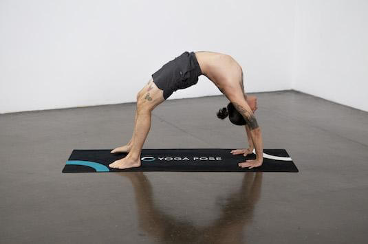 Upward Facing Two-Foot Staff Pose (Dwi Pada Viparita Dandasana) - Yoga Pose