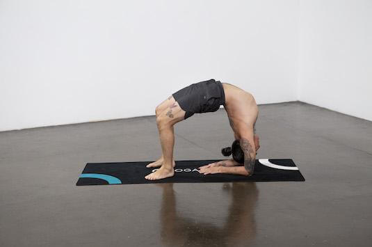 Upward Facing Two-Foot Staff Pose (Dwi Pada Viparita Dandasana) - Yoga Pose