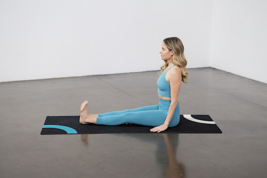 Beautiful Woman Practices Yoga Asana Chaturanga Dandasana - Four Limbed Staff  Pose at the Yoga Studio Stock Photo - Image of female, advanced: 108516894