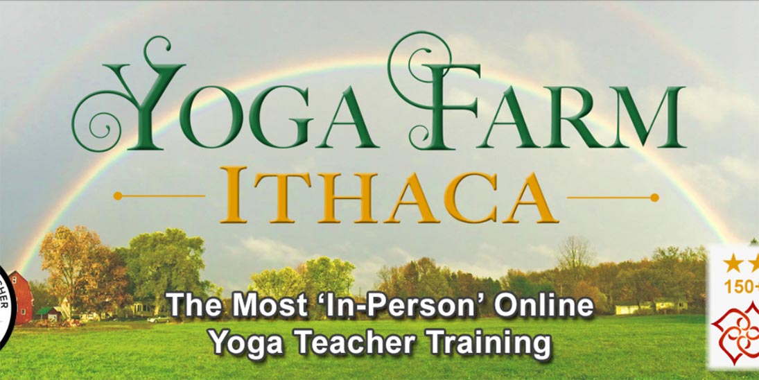 10 Best Online YTT Programs in the US - Yoga Pose