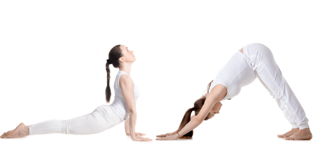 The up dog and down dog are the most popular poses in the yoga practice.