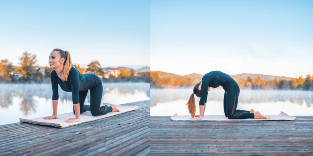 Cat/Cow Pose (Marjaryasana to Bitilasana)